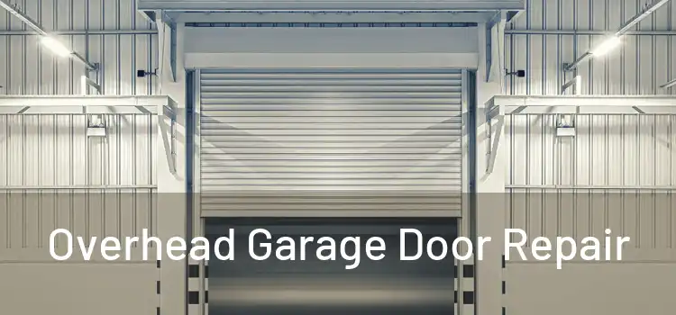  Overhead Garage Door Repair 